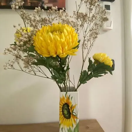 Fazzoletto * Καζαλέκιο ντι Ρένο