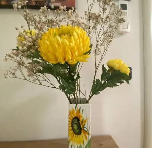 Fazzoletto * 雷诺河畔卡萨莱基奥